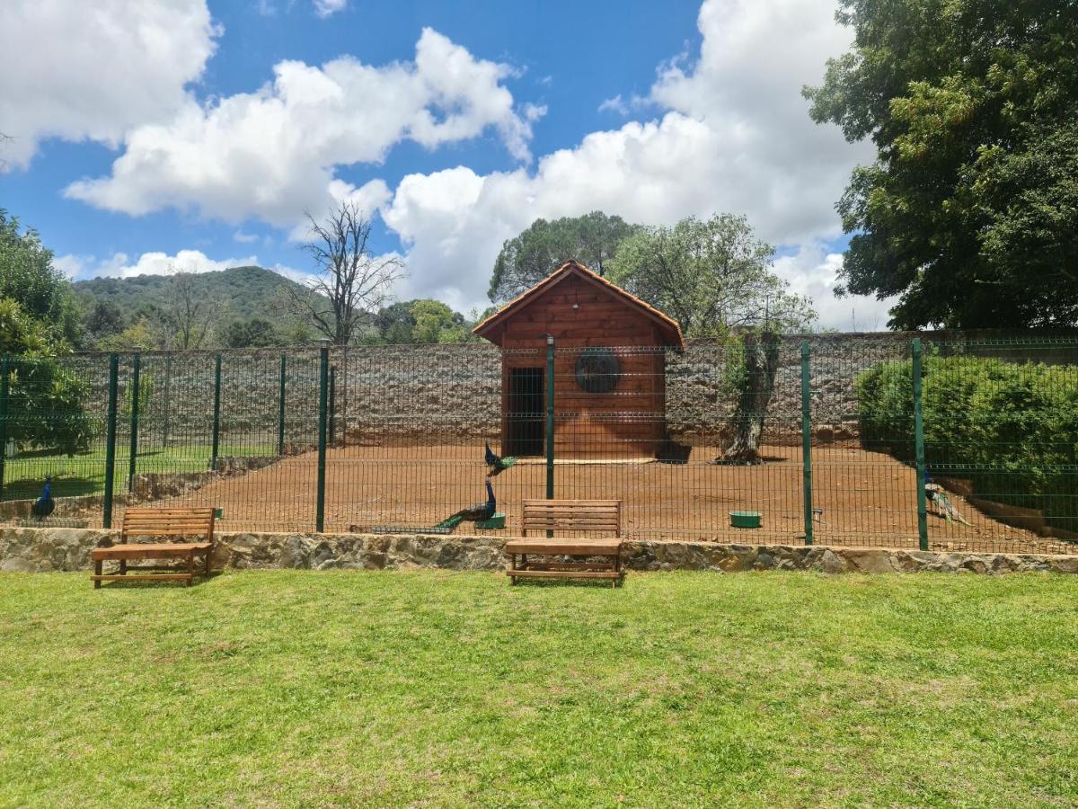 Finca Los Angeles Hospederia&Sociales Huasca de Ocampo Exterior foto