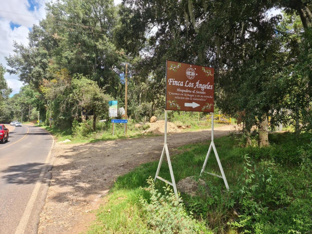 Finca Los Angeles Hospederia&Sociales Huasca de Ocampo Exterior foto